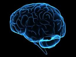 image_brain